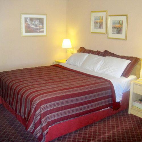Muir Lodge Motel Martinez Habitación foto